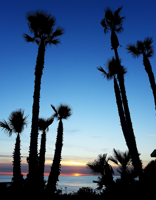 san-diego-sunset-with-palm-trees-by-zero-dean