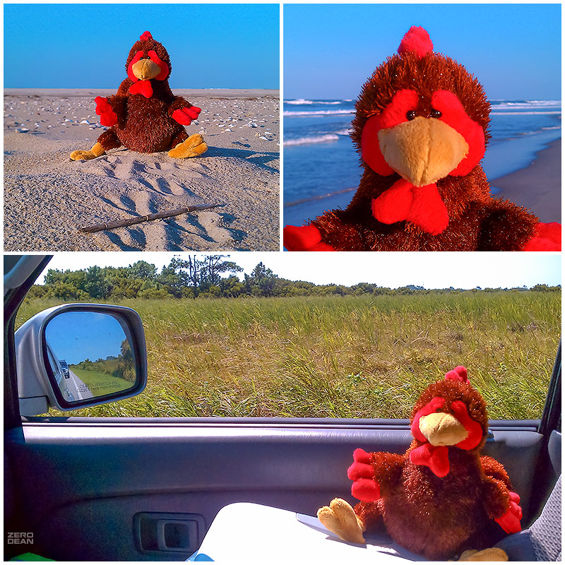 plucky-at-the-beach-and-watching-me-drive-zero-dean